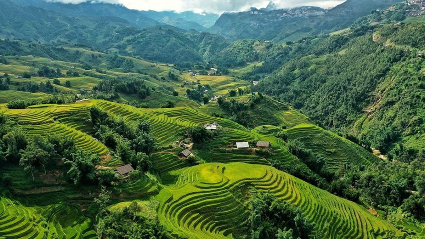 1-Day Sapa Trekking Tour to Y Linh Ho, Lao Chai & Ta Van
